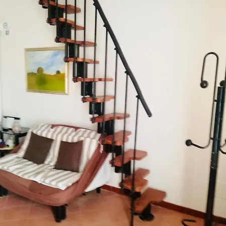 Masi